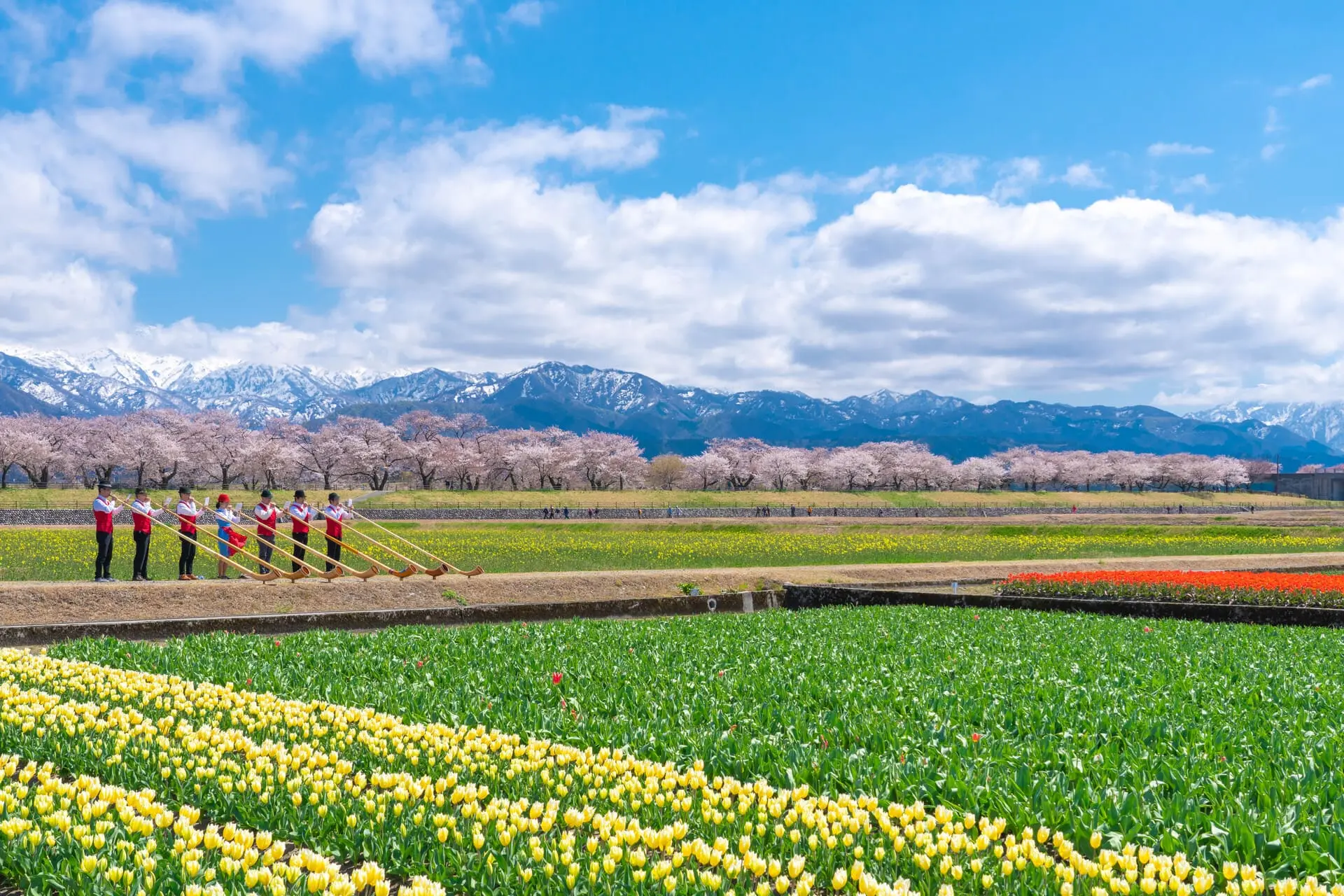 圖3 長號的悠長樂音在田野間響起,為朝日町春日四重奏添上動人的樂章。