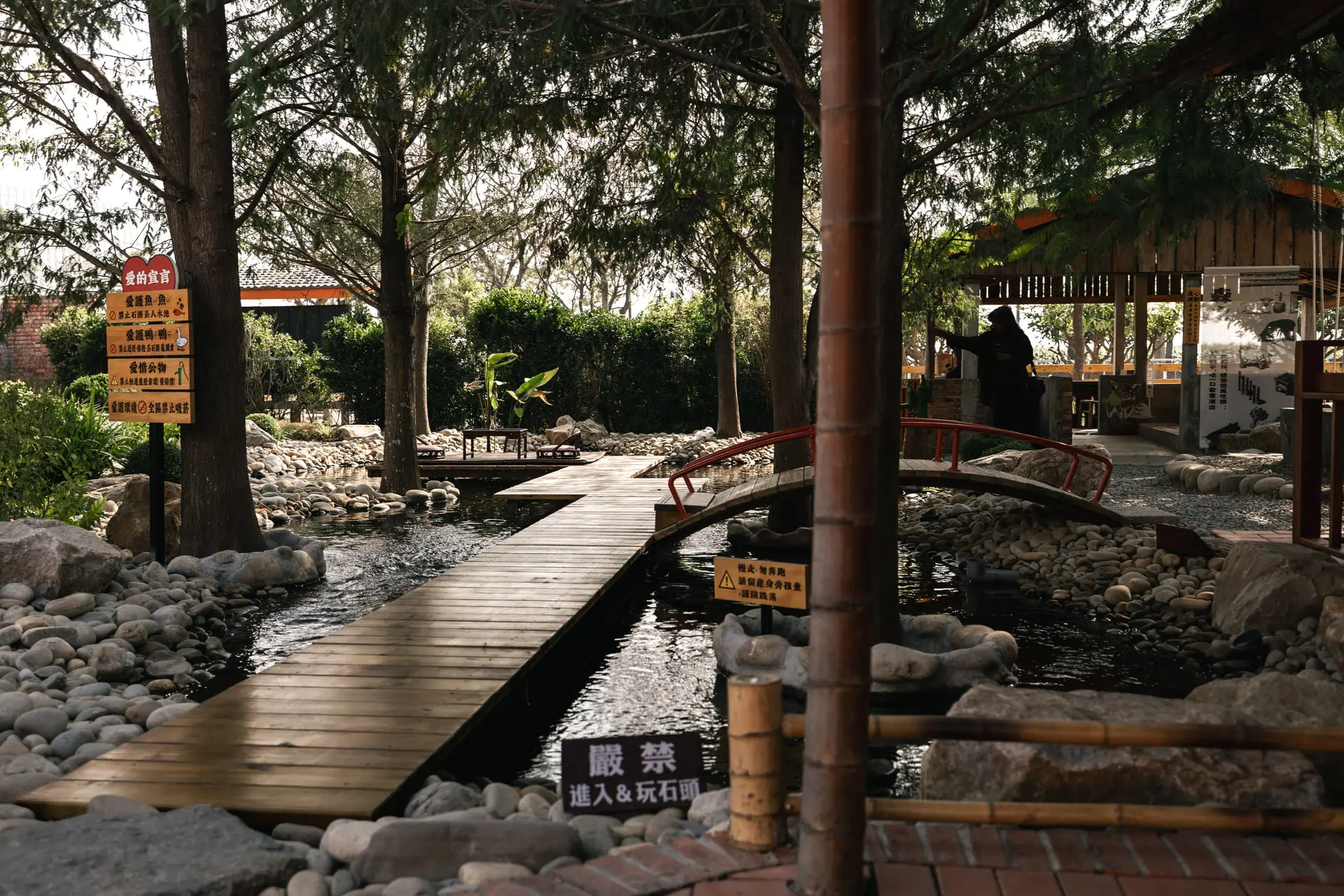 圖5 園區綠樹環繞,落羽松蔚然成林,水池中魚群優游,漫步棧道之上,悠閒愜意。